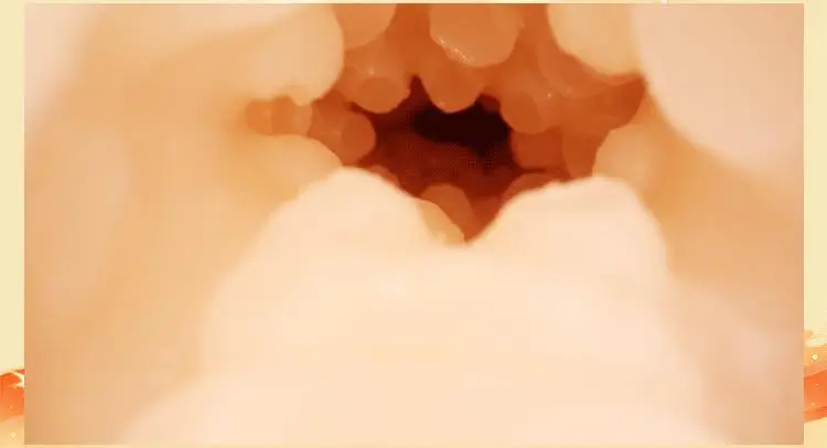Huge Realistic Dildo