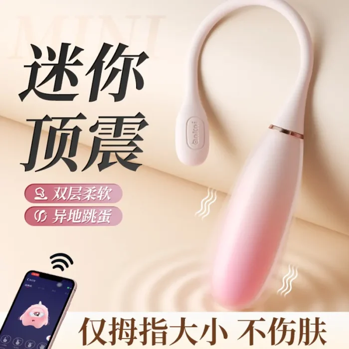 Bullet Egg Vibrator