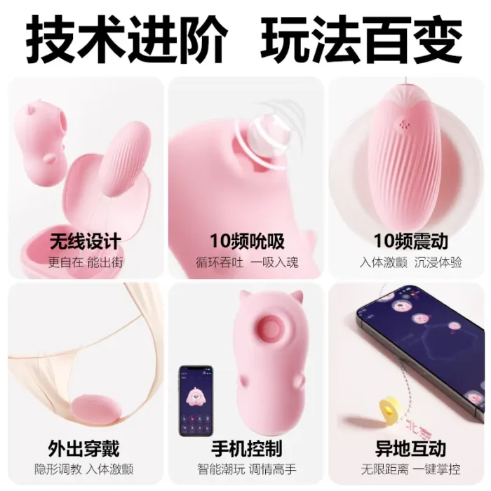Pink Bullet Vibrator