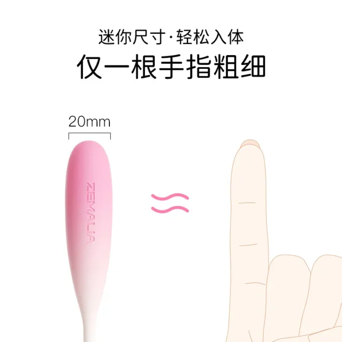 Rechargeable Bluetooth Bullet Vibrator