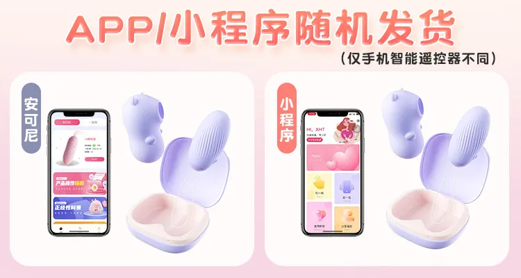 Purple Bullet Vibrator