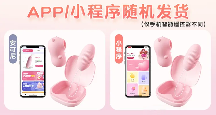 Pink Bullet Vibrator