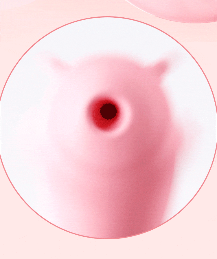 clit suction stimulator