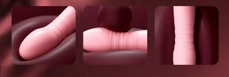 Top Rated Sex Toys