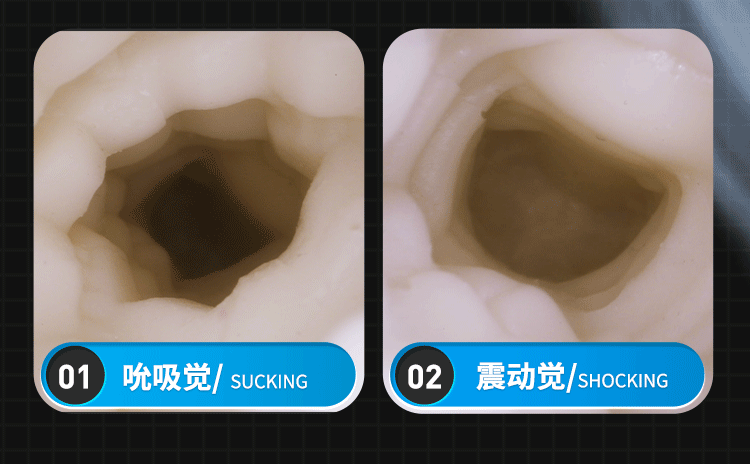 3 in 1 masturbator
