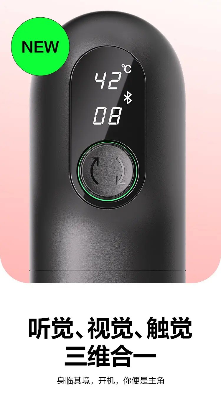 interactive sex toy